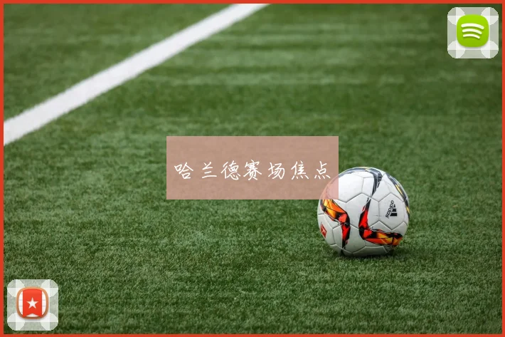 哈兰德赛场焦点