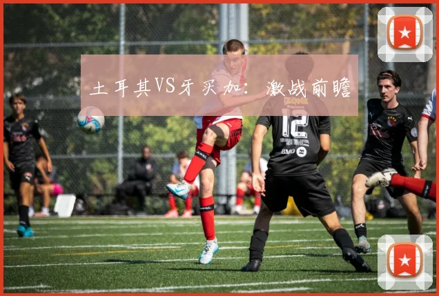 土耳其VS牙买加：激战前瞻