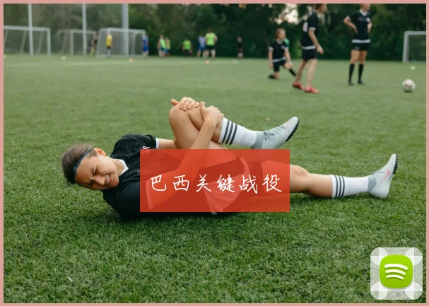 巴西关键战役