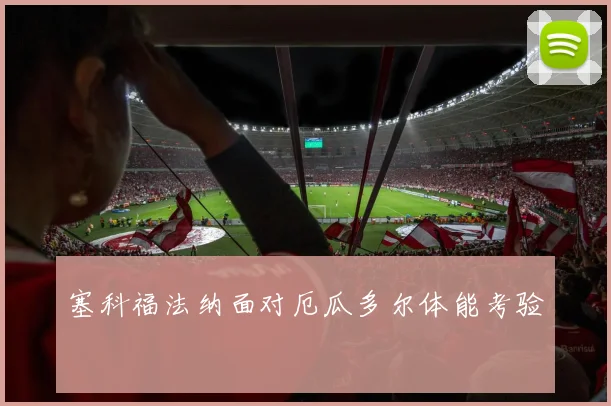 塞科福法纳面对厄瓜多尔体能考验