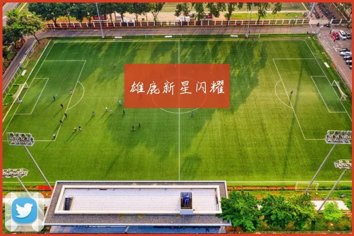 雄鹿新星闪耀