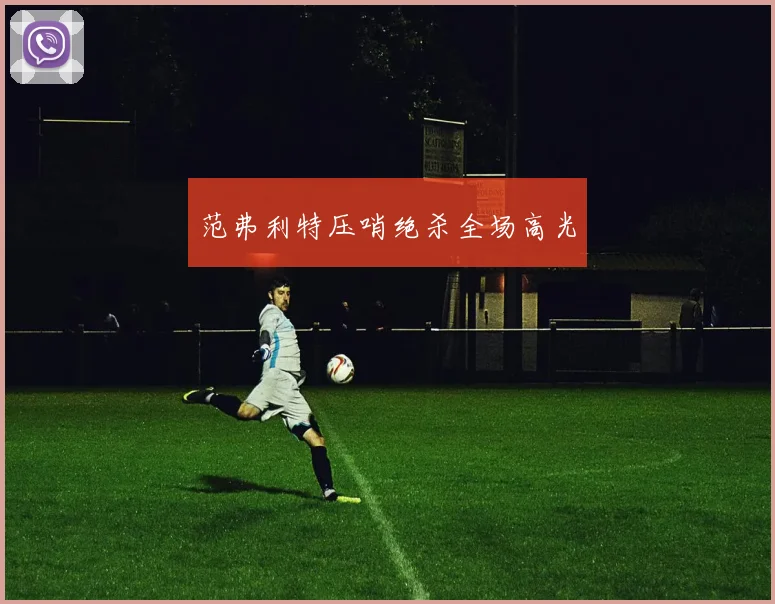 范弗利特压哨绝杀全场高光