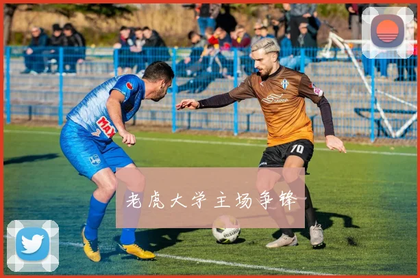 老虎大学主场争锋