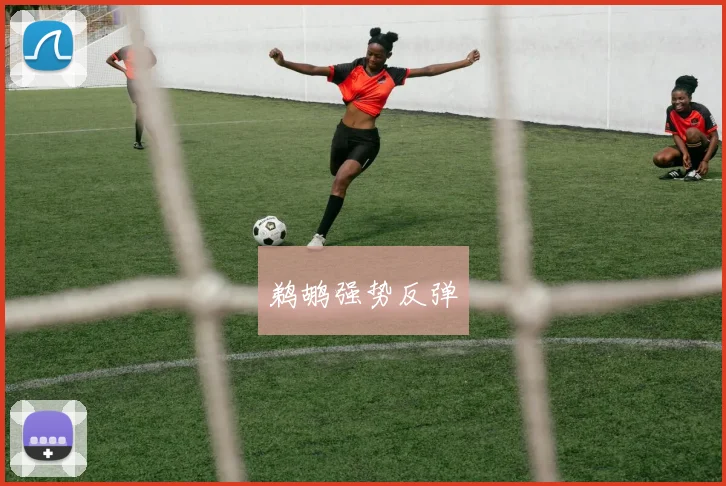 鹈鹕强势反弹