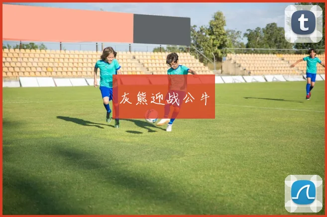 灰熊迎战公牛