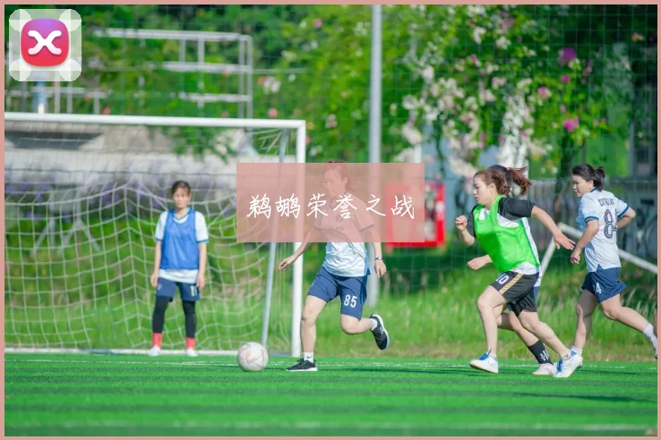 鹈鹕荣誉之战