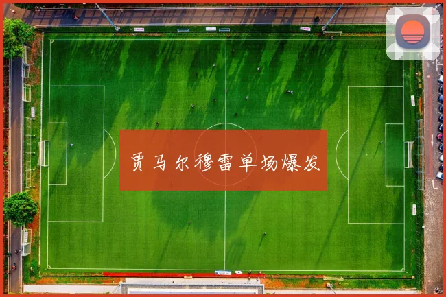 贾马尔穆雷单场爆发