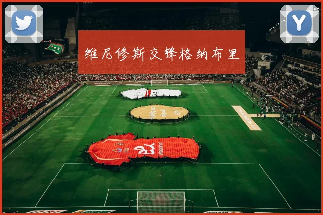 维尼修斯交锋格纳布里