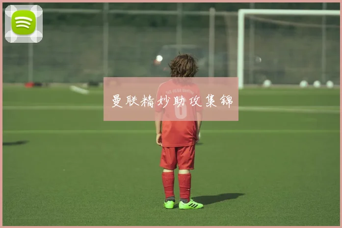 曼联精妙助攻集锦