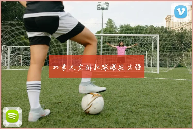 加拿大女排扣球爆发力强
