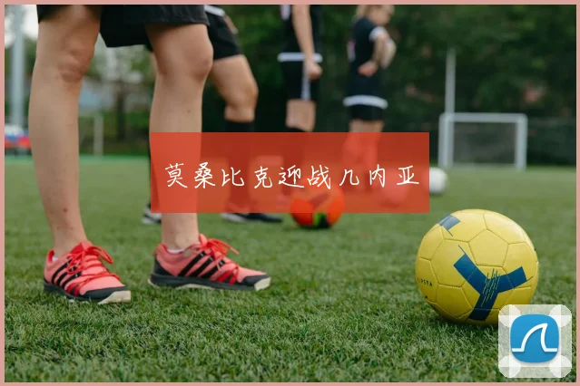 莫桑比克迎战几内亚