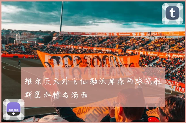 维尔茨天外飞仙勒沃库森两球完胜斯图加特名场面