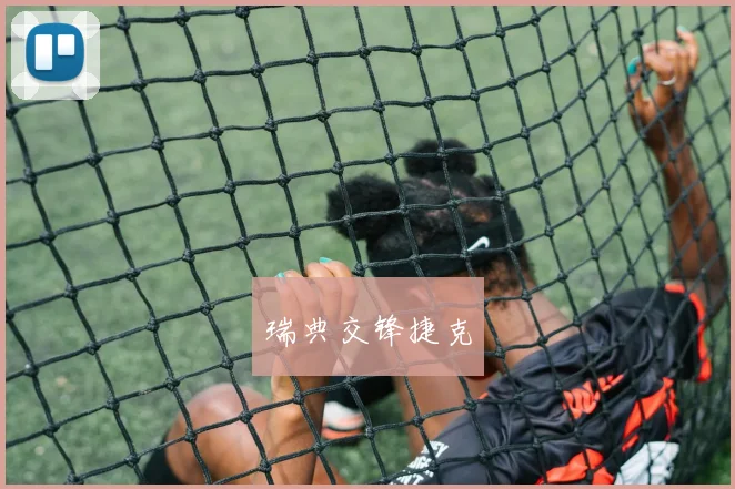 瑞典交锋捷克