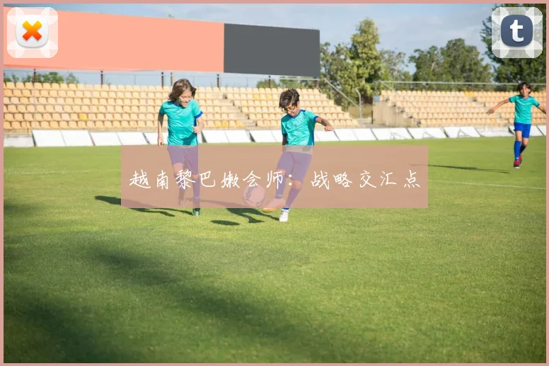 越南黎巴嫩会师：战略交汇点