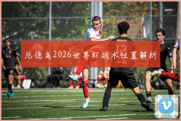 厄德高2026世界杯战术位置解析