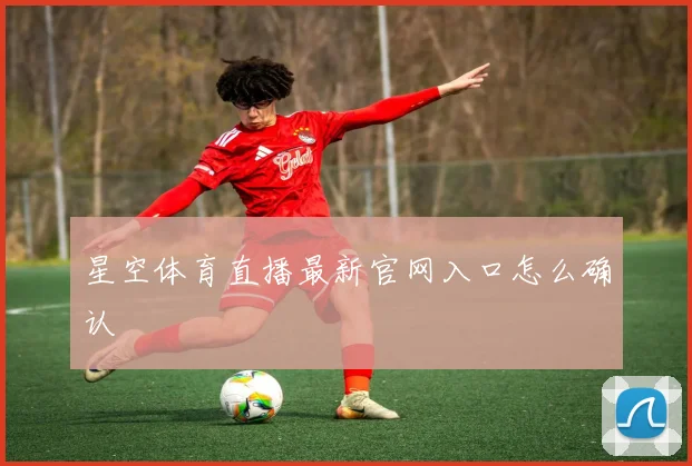 星空体育直播最新官网入口怎么确认