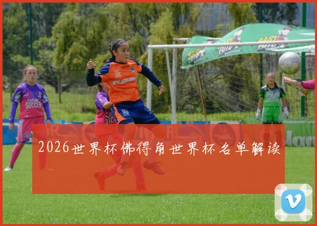 2026世界杯佛得角世界杯名单解读