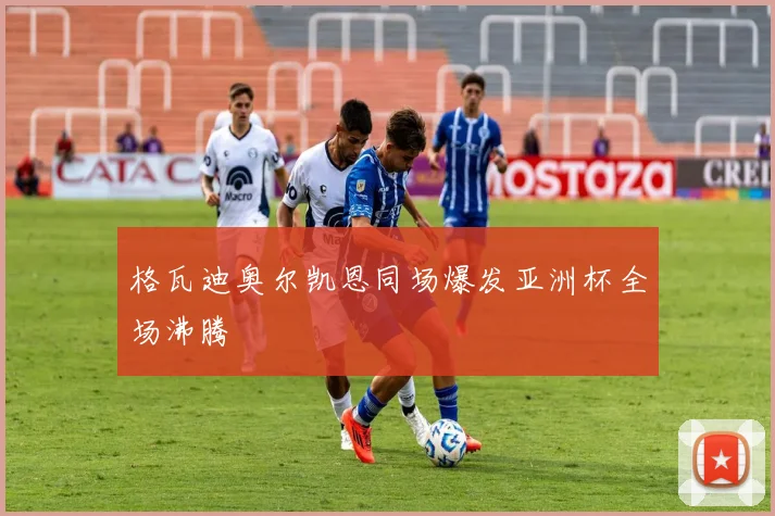 格瓦迪奥尔凯恩同场爆发亚洲杯全场沸腾